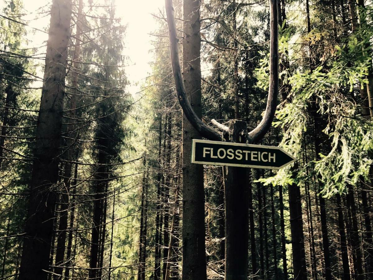 Flair-Hotel Waldfrieden Oberweißbach Esterno foto