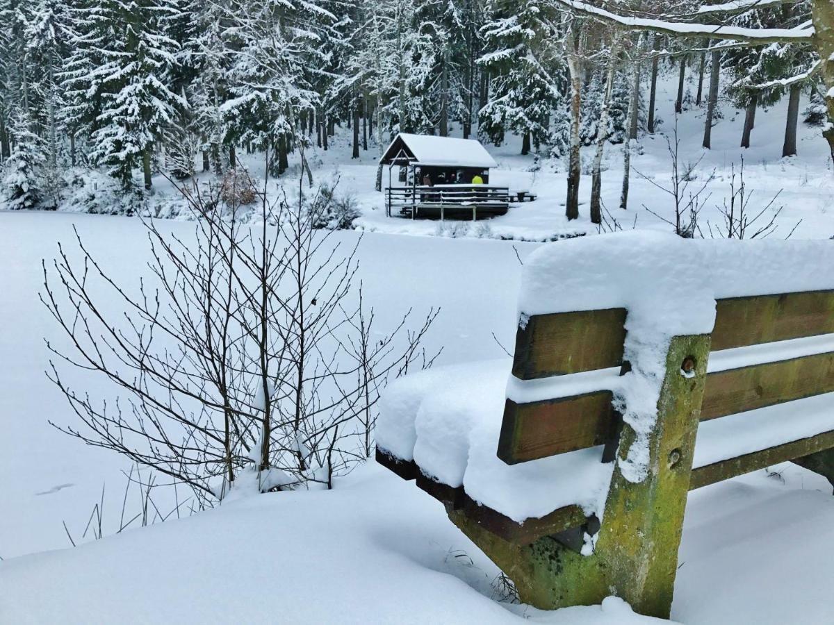 Flair-Hotel Waldfrieden Oberweißbach Esterno foto